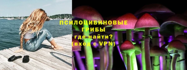 молекула духа Нязепетровск