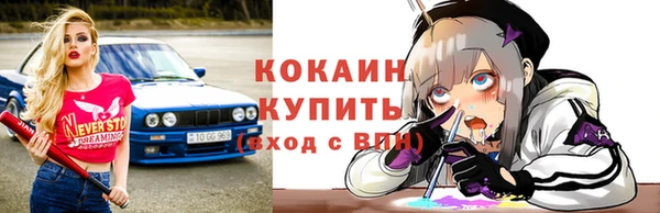 эйфоретик Няндома