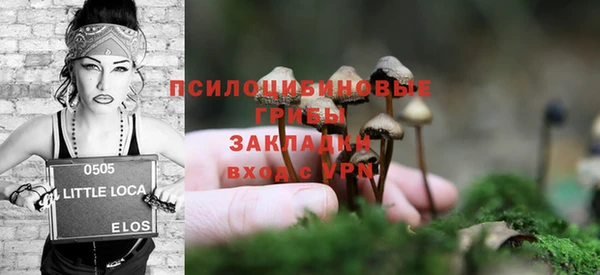 гидра Нягань