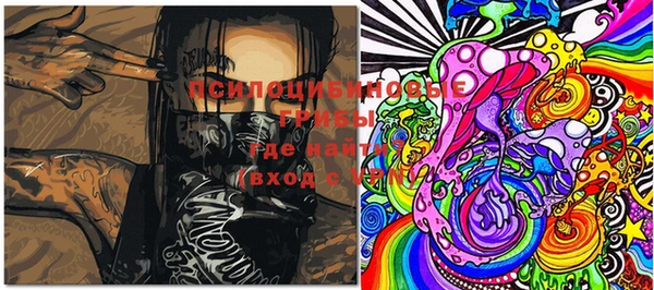 эйфоретик Няндома