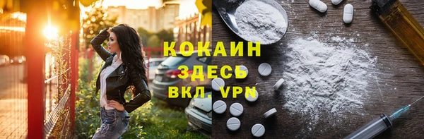эйфоретик Няндома