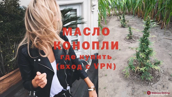 молекула духа Нязепетровск