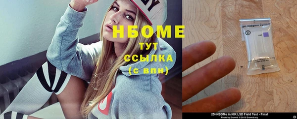 эйфоретик Няндома